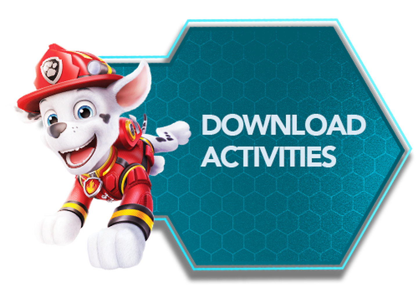 Download activities