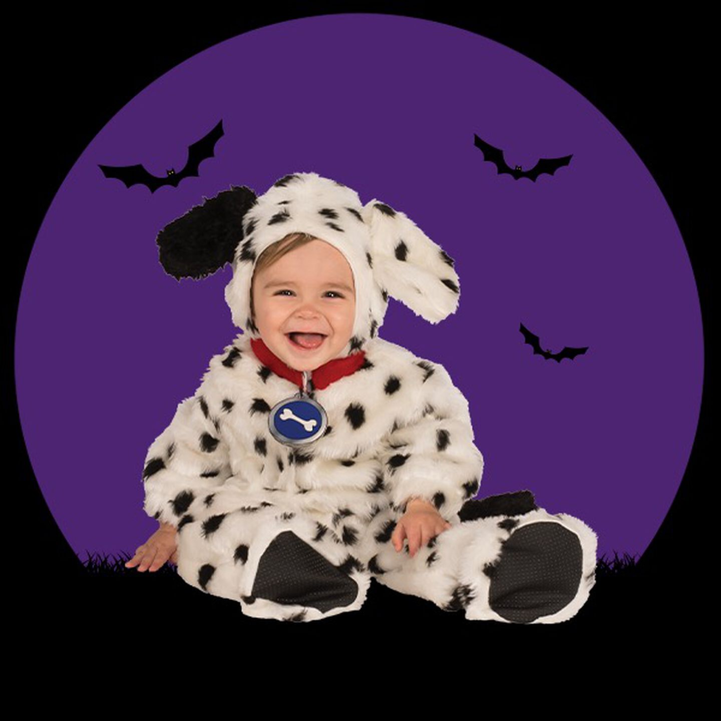 Dalmation