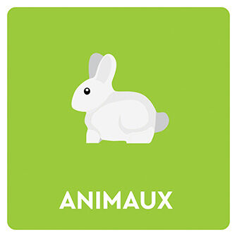 Animaux