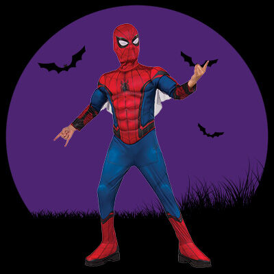 Spiderman costume