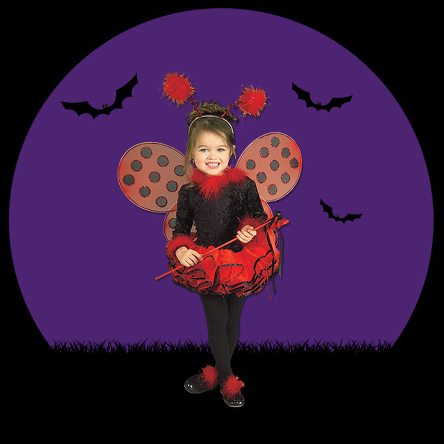 Baby Ladybug