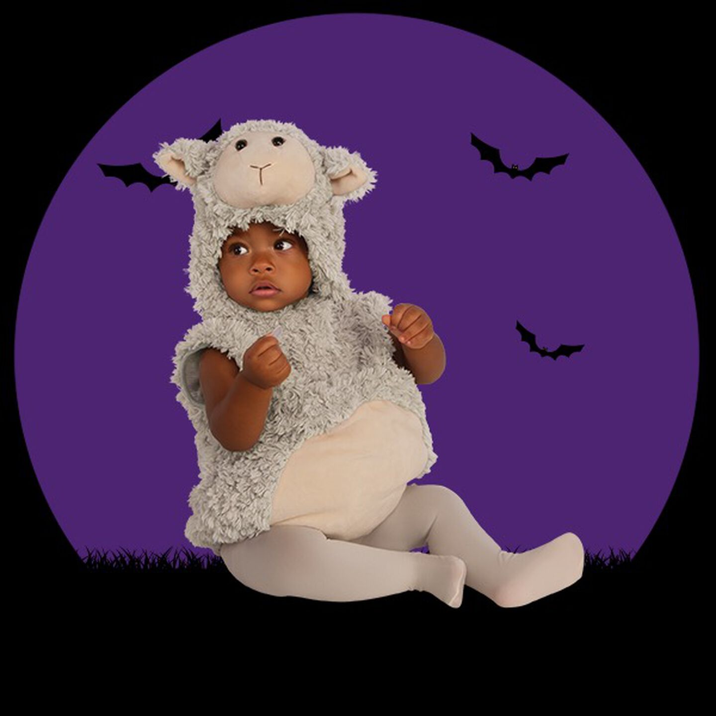 Baby Lamb