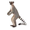 ALEX - Ringtail Lemur - Medium