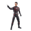 Hasbro Marvel Legends Series Ant-Man, Ant-Man and the Wasp: Quantumania Marvel Legends Action Figures, 6 Inch