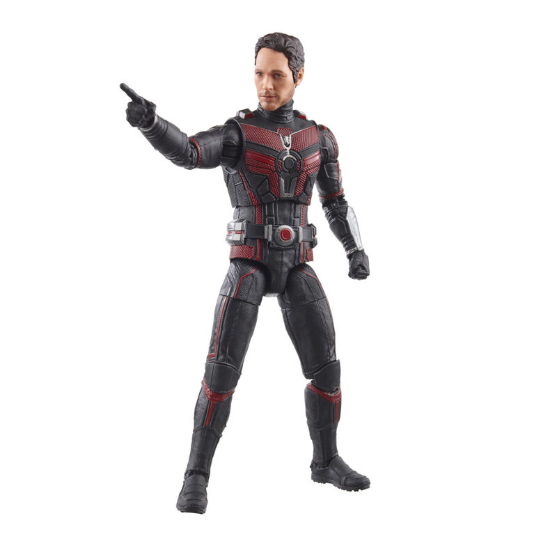 Hasbro Marvel Legends Series Ant-Man, Ant-Man and the Wasp: Quantumania Marvel Legends Action Figures, 6 Inch