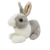 ALEX - Lapin 7"