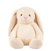 Alex Hug Me 12.5 inch White Friendship Bunny - R Exclusive