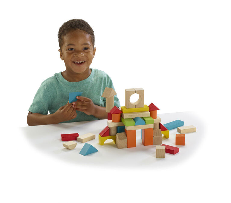 Imaginarium Discovery - Wooden Blocks 75 Pieces