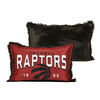 NBA Toronto Raptors Kids Jumbo Funky Fur Pillow, 20" x 30"