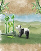 Playmobil - Wiltopia - Panda