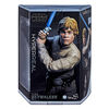 Star Wars The Black Series Hyperreal Luke Skywalker