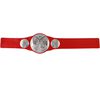 Ceinture de Championnat par équipe RAW WWE - Édition anglaise