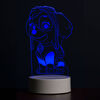 PAW Patrol 3D LED Night Light Skye