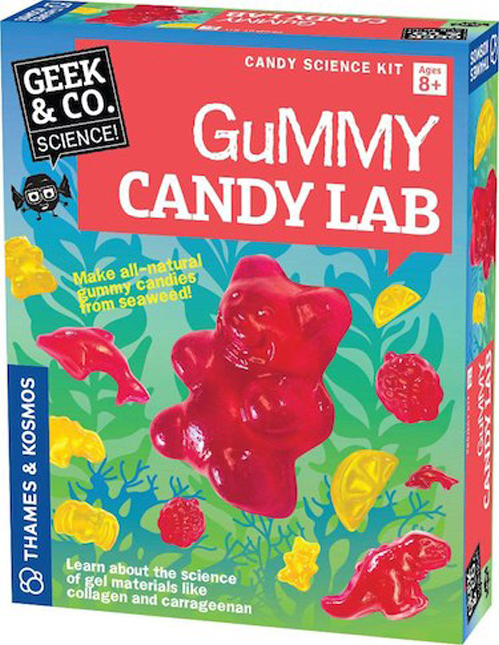 Thames & Kosmos 550024 Gummy Candy Lab Science Kit B4 for sale online 