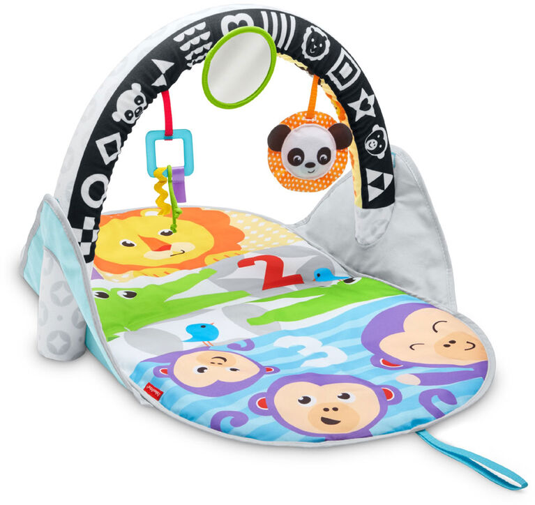Fisher-Price 2-in-1 Flip & Fun Activity Gym