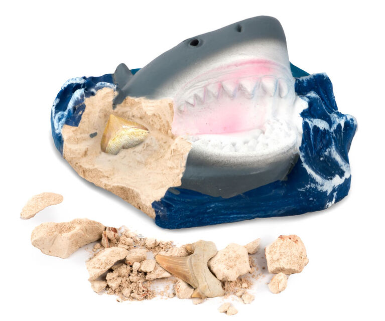 National Geographic Kit de Fouille de dents des requins