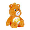 Care Bears 14" Plush - Friend Bear