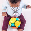 Wobble Bobble Crawl & Chase Ball