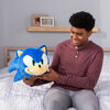 Sonic MEGA