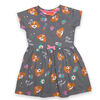 Paw Patrol Dress - Grey - 3T