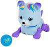 Little Live Pets - Lil' Cutie Pup - Starbow