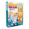 SmartLab The Amazing Squishy Brain - Édition anglaise