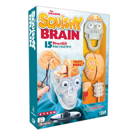 SmartLab The Amazing Squishy Brain - English Edition