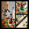 LEGO Architecture Le Château de Neuschwanstein, Ensemble de Modèle Réduit à Collectionner, Ensemble de Construction pour Adultes 21063
