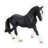 ALEX - Hanoverian Black - Large