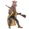 Star Wars The Vintage Collection Saelt-Marae Star Wars: Return of the Jedi 3.75-Inch Collectible Action Figures