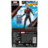 Hasbro Marvel Legends Series Ant-Man, Ant-Man and the Wasp: Quantumania Marvel Legends Action Figures, 6 Inch
