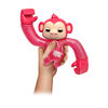 Little Live Pets Amigooz Monkey