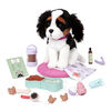 Ensemble d'accessoires de soins pour chien en peluche, Paw Paradise, Our Generation