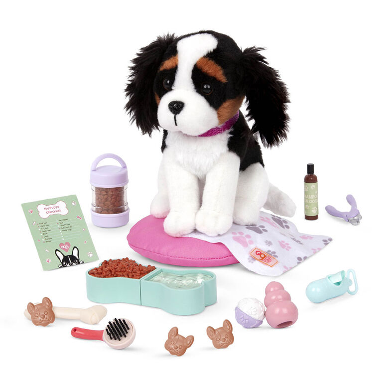 Ensemble d'accessoires de soins pour chien en peluche, Paw Paradise, Our Generation