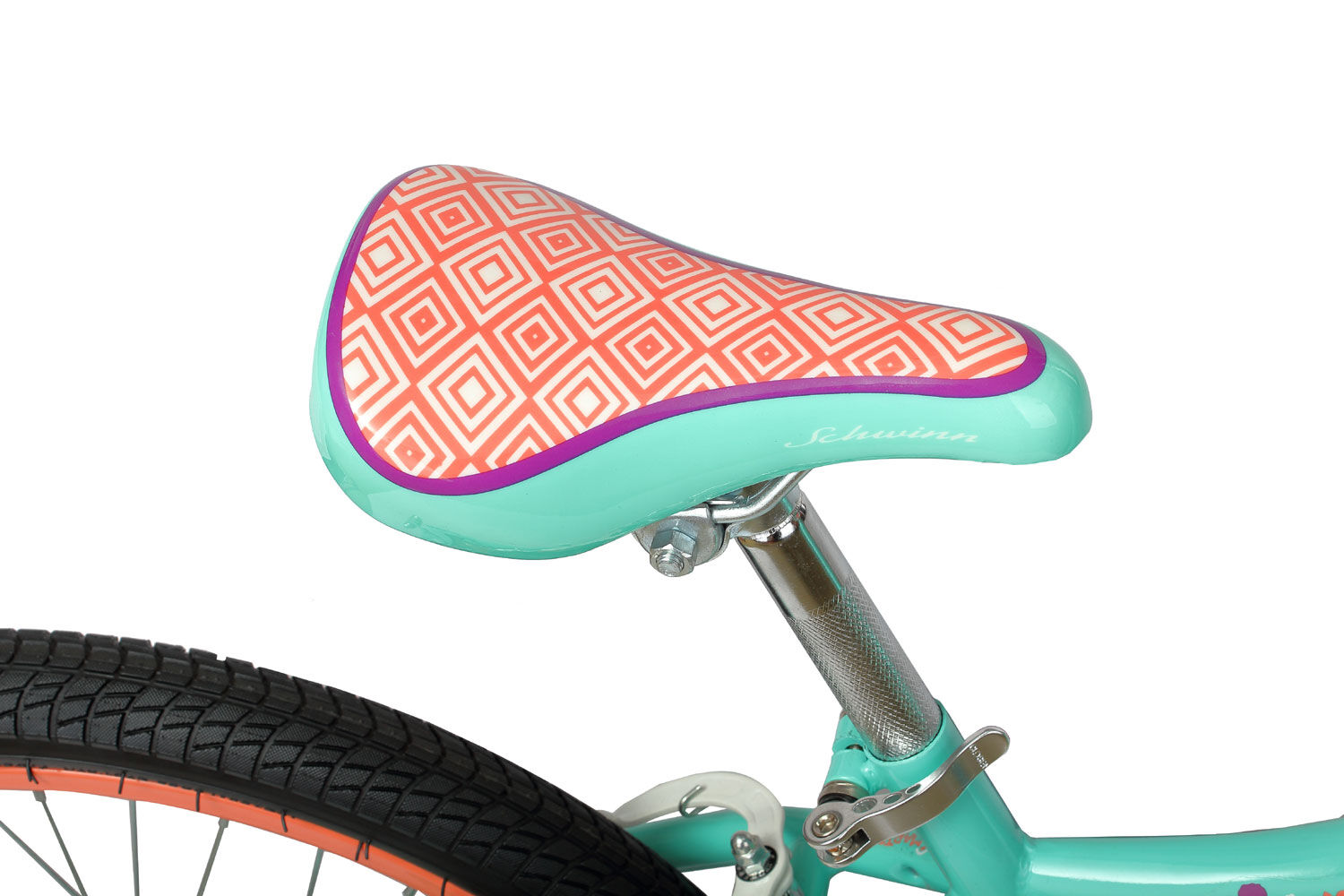 schwinn holly