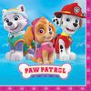 Paw Patrol Pink Luncheon Napkins, 16 pieces
