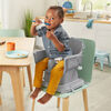 Fisher-Price SpaceSaver High Chair - Berry Collection - R Exclusive