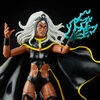 Hasbro Marvel X-Men Series 6-inch Collectible Storm and Marvel's Thunderbird Action Figure Toys - R Exclusive