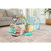 VTech 6-in-1 Tunnel of Fun - French Edition