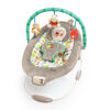 Bright Starts Disney Baby WINNIE THE POOH Dots & Hunny Pots Bouncer