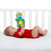 Baby Einstein - Rhythm of the Reef Play Gym