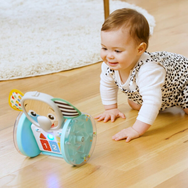 Baby Einstein Chase & Tap Earl Interactive Crawling Toy