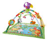 Fisher-Price Rainforest Music & Lights Deluxe Gym