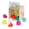 B. Wooden Shape Sorter