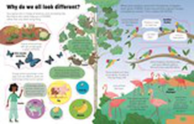 See Inside Genes And DNA - English Edition