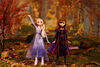 Disney's Frozen II Forest Expedition Set, 4 Fashion Dolls - R Exclusive