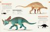 Dictionary Of Dinosaurs - English Edition