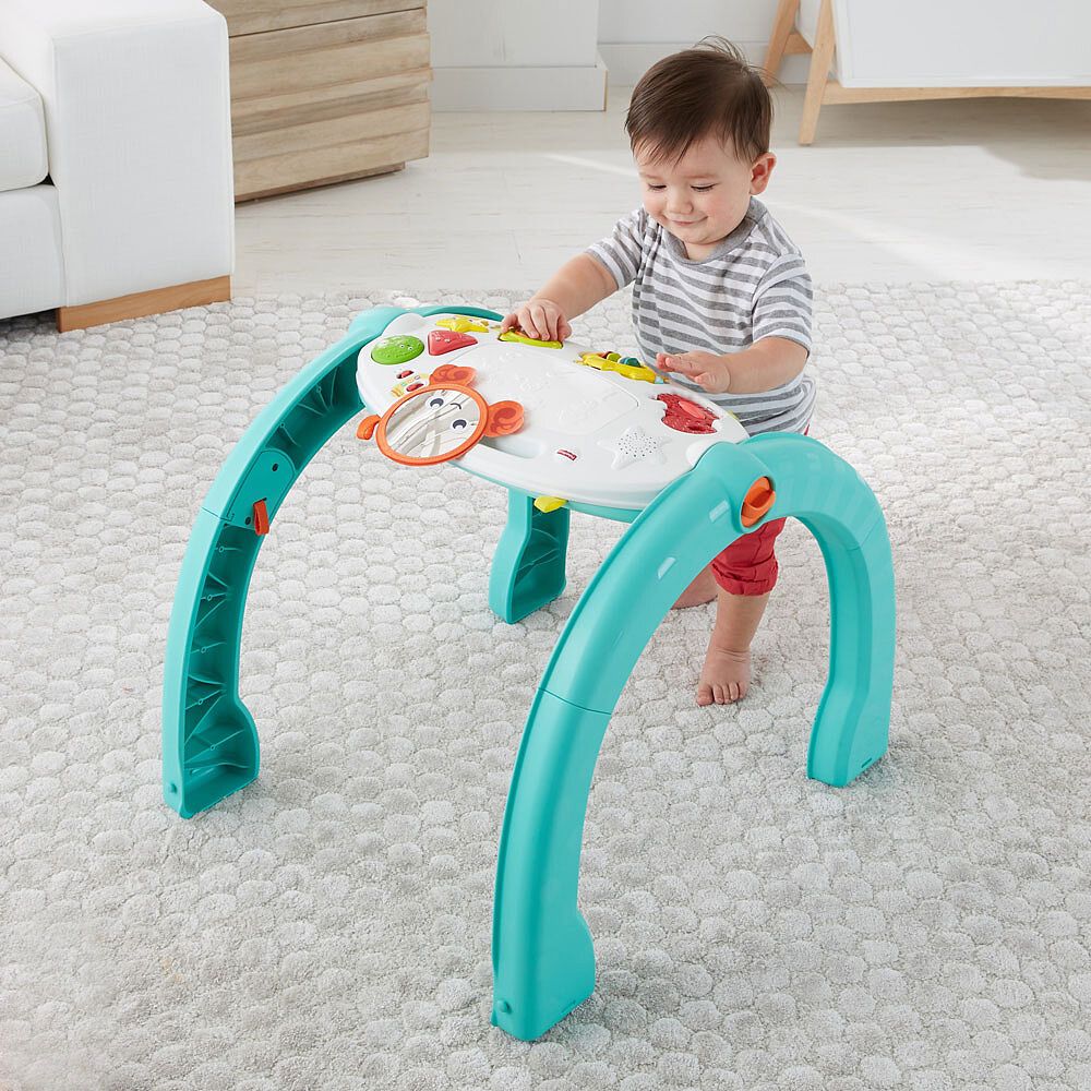 fisher price 4 in 1 ocean activity gym