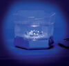 Star Wars Science - Lightsaber Crystal Growing Lab