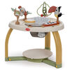 Tiny Love 5-in-1 Here I Grow Stationary Activity Center - Boho Chic Collection